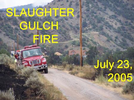 SLAUGHTER GULCH FIRE July 23, 2005. REPRESENTATIVE FUELS.