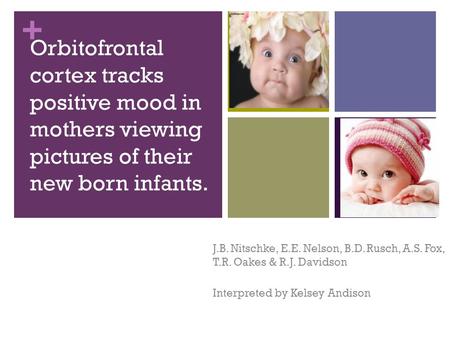 + Orbitofrontal cortex tracks positive mood in mothers viewing pictures of their new born infants. J.B. Nitschke, E.E. Nelson, B.D. Rusch, A.S. Fox, T.R.