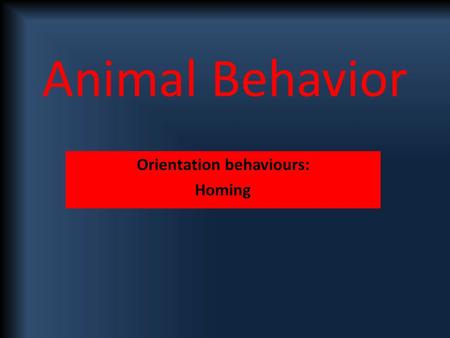 Animal Behavior Orientation behaviours: Homing. Ability of an animal to find it’s way home over unfamiliar territory – eg homing pigeons Not necessarily.