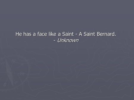He has a face like a Saint - A Saint Bernard. - Unknown.