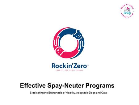 Effective Spay-Neuter Programs Eradicating the Euthanasia of Healthy, Adoptable Dogs and Cats.