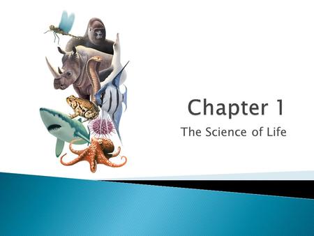 Chapter 1 The Science of Life.