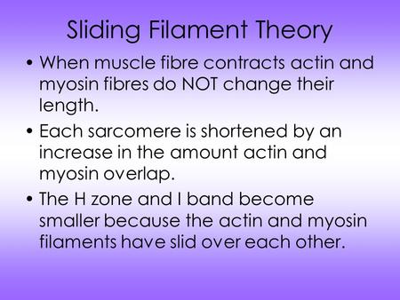 Sliding Filament Theory
