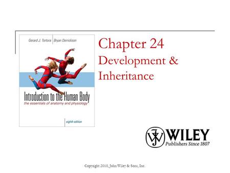 Chapter 24 Development & Inheritance