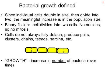 1 Bacterial growth defined Since individual cells double in size, then divide into two, the meaningful increase is in the population size. Binary fission: