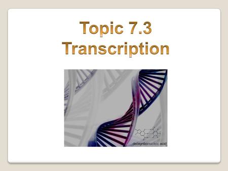 Topic 7.3 Transcription.
