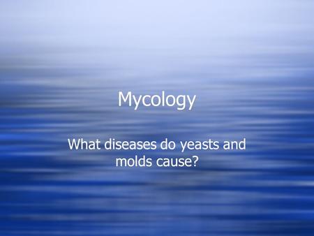 What diseases do yeasts and molds cause?
