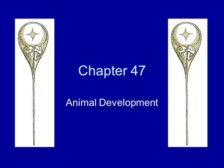 Chapter 47 Animal Development.