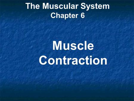 The Muscular System Chapter 6 Muscle Contraction.