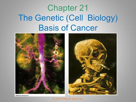 Chapter 21 The Genetic (Cell Biology) Basis of Cancer © John Wiley & Sons, Inc.
