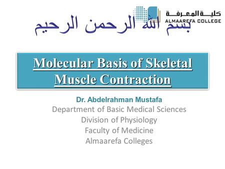 Molecular Basis of Skeletal Muscle Contraction Dr. Abdelrahman Mustafa Department of Basic Medical Sciences Division of Physiology Faculty of Medicine.