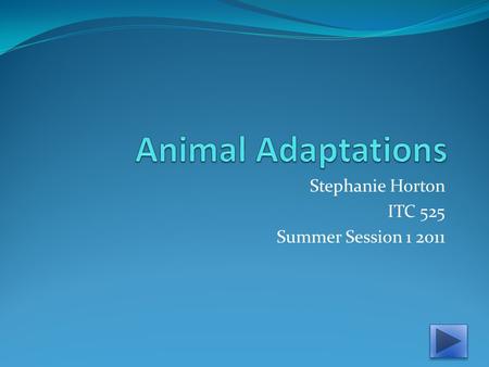 Stephanie Horton ITC 525 Summer Session 1 2011.