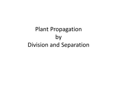 Plant Propagation by Division and Separation. A subtle difference Division – plant parts were not intended to be separated (at least not immediately,