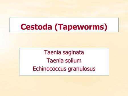 Taenia saginata Taenia solium Echinococcus granulosus