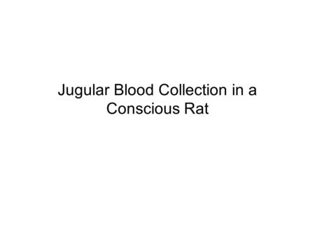 Jugular Blood Collection in a Conscious Rat