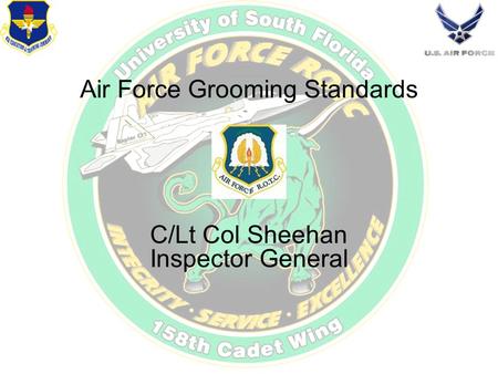 Air Force Grooming Standards C/Lt Col Sheehan Inspector General.