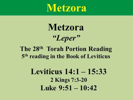 The 28th Torah Portion Reading 5th reading in the Book of Leviticus