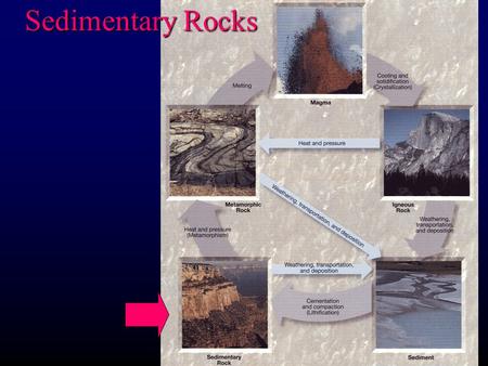 Sedimentary Rocks. l l Products of mechanical and chemical weathering l l Account for about 5% of Earth’s crust l l Contain evidence of past environments.