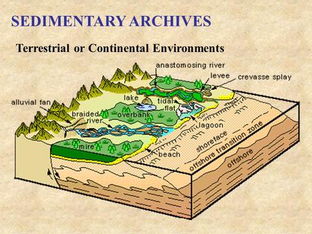 SEDIMENTARY ARCHIVES Terrestrial or Continental Environments.