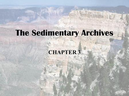 The Sedimentary Archives