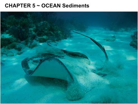 CHAPTER 5 ~ OCEAN Sediments. See Syllabus-revised Webpage HOMEWORK 1 DUE (Long Marine lab Field Trip) Turn in after class.