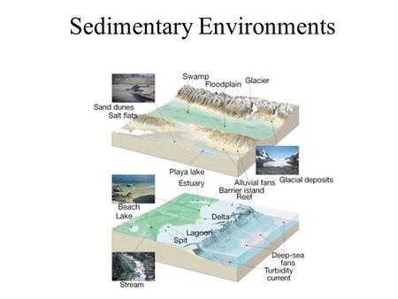 Sedimentary Environments. Fossil Sedimentary rocks record environmental information.