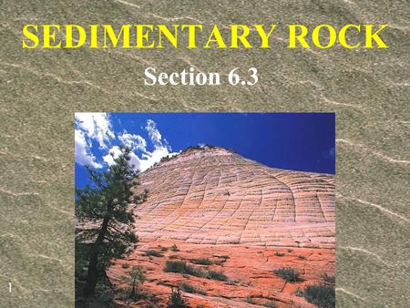 SEDIMENTARY ROCK Section 6.3.