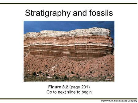 Stratigraphy and fossils