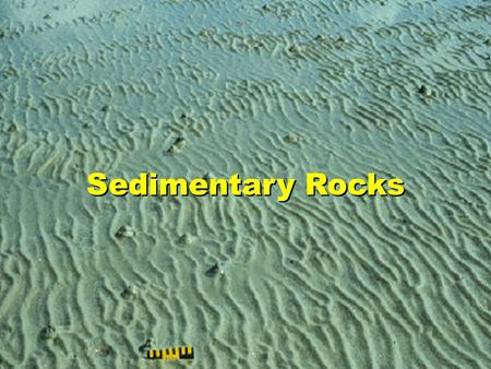 Sedimentary Rocks. DID YOU KNOW? 75% of rocks exposed at Earths surface are sedimentary Sedimentary rocks form in various regions oceans, lakes, rivers,