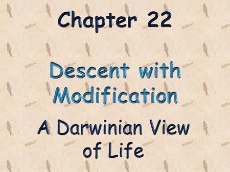 Chapter 22 Descent with Modification