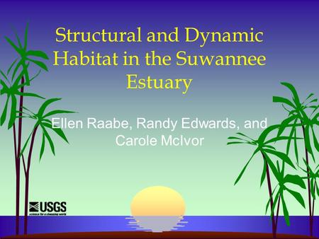 Structural and Dynamic Habitat in the Suwannee Estuary Ellen Raabe, Randy Edwards, and Carole McIvor.