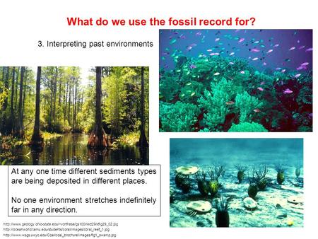 What do we use the fossil record for? 3. Interpreting past environments