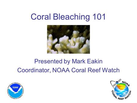 Coral Bleaching 101 Presented by Mark Eakin Coordinator, NOAA Coral Reef Watch.
