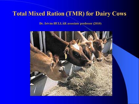 Total Mixed Ration (TMR) for Dairy Cows Dr. István HULLÁR associate professor (2010)