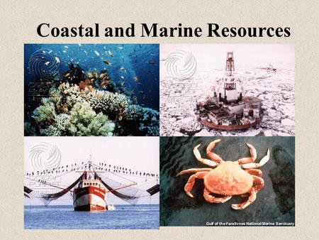 Coastal and Marine Resources. Main Lecture Topics Economically important living and non-living resources International legal framework that governs utilization.