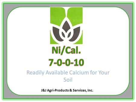 Readily Available Calcium for Your Soil