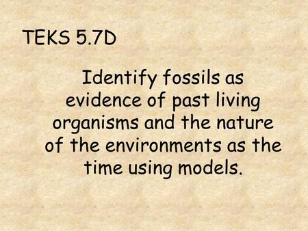 TEKS 5.7D Identify fossils as evidence of past living organisms and the nature of the environments as the time using models.