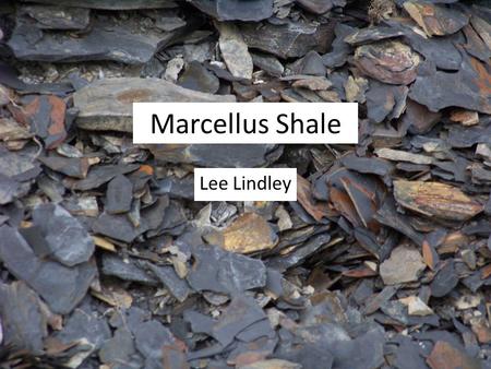 Marcellus Shale Lee Lindley. Intro Marcellus shale contains estimated 489 tcf of recoverable hydrocarbons Additional 84 tcf of undiscovered reserves.