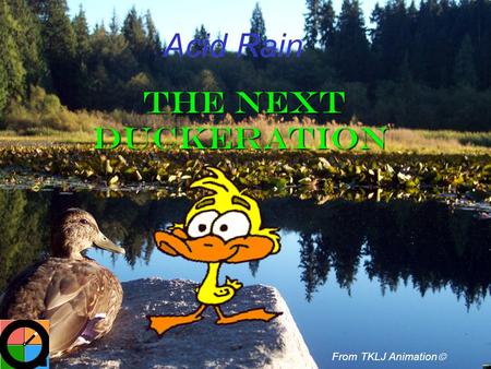Acid Rain From TKLJ Animation  The Next Duckeration The Next Duckeration.