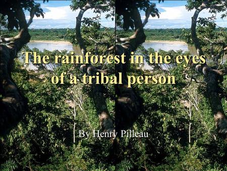 The rainforest in the eyes of a tribal person By Henry Pilleau.