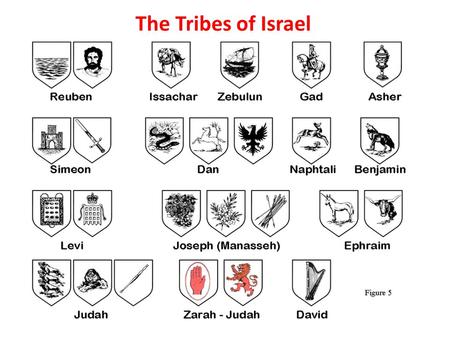 The Tribes of Israel. The Tribes of Israel : Banners TribeBanner Reubenred with mandrakes Simeon green with City of Shechem Levired white and black Judahlight.