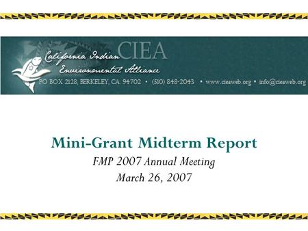 Mini-Grant Midterm Report FMP 2007 Annual Meeting March 26, 2007.