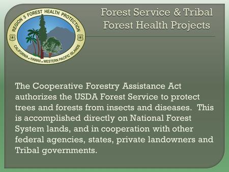 The Cooperative Forestry Assistance Act authorizes the USDA Forest Service to protect trees and forests from insects and diseases. This is accomplished.