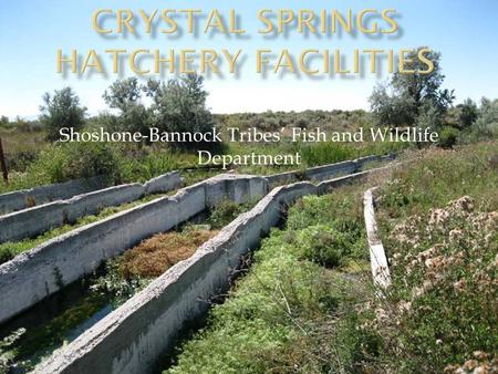 Crystal Springs Hatchery Facilities