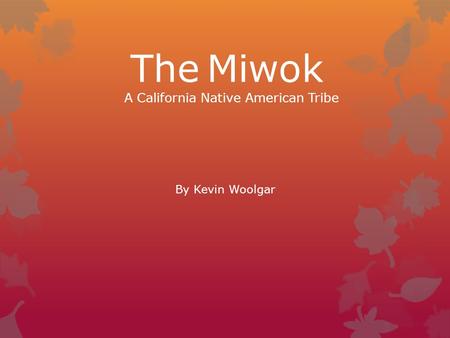 The Miwok A California Native American Tribe