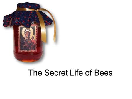 The Secret Life of Bees. Setting SETTING The novel is set in South Carolina during the turbulent time frame of 1964. The civil rights movement is well.