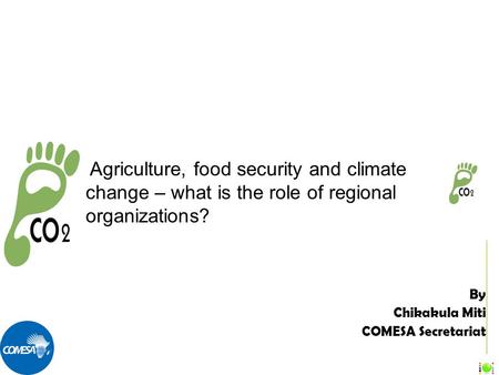 By Chikakula Miti COMESA Secretariat Agriculture, food security and climate change – what is the role of regional organizations?