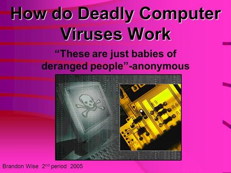 How do Deadly Computer Viruses Work “These are just babies of deranged people”-anonymous Brandon Wise 2 nd period 2005.