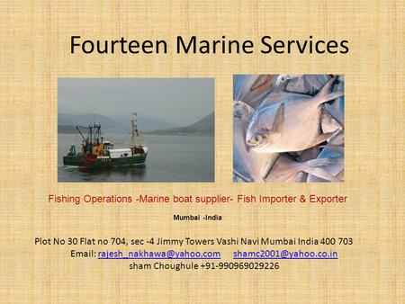 Fourteen Marine Services Fishing Operations -Marine boat supplier- Fish Importer & Exporter Mumbai -India Plot No 30 Flat no 704, sec -4 Jimmy Towers Vashi.