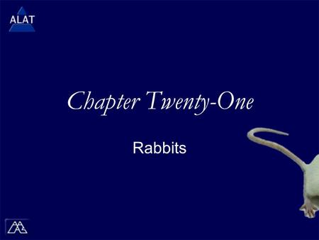 Chapter Twenty-One Rabbits.  If viewing this in PowerPoint, use the icon to run the show (bottom left of screen).  Mac users go to “Slide Show > View.